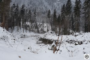 21. Februar 2018 Abholzung Etappe 1